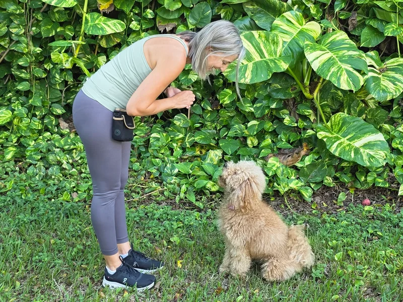 Founder Yaelyn working with a dog outdoors